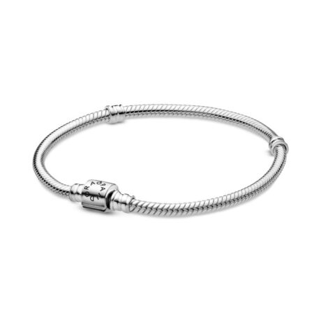 Small Plain Clasp Snake Chain Bracelet