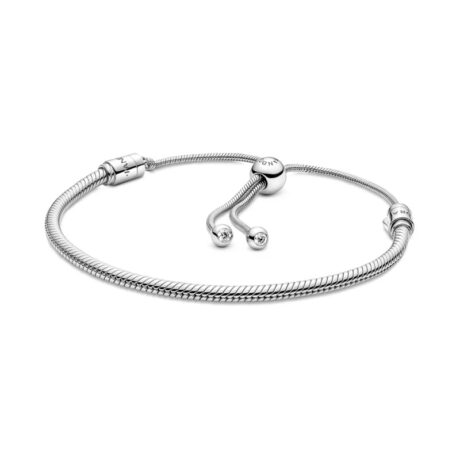 Slider Snake Chain Bracelet