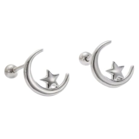 Moon & Star Stud Earrings